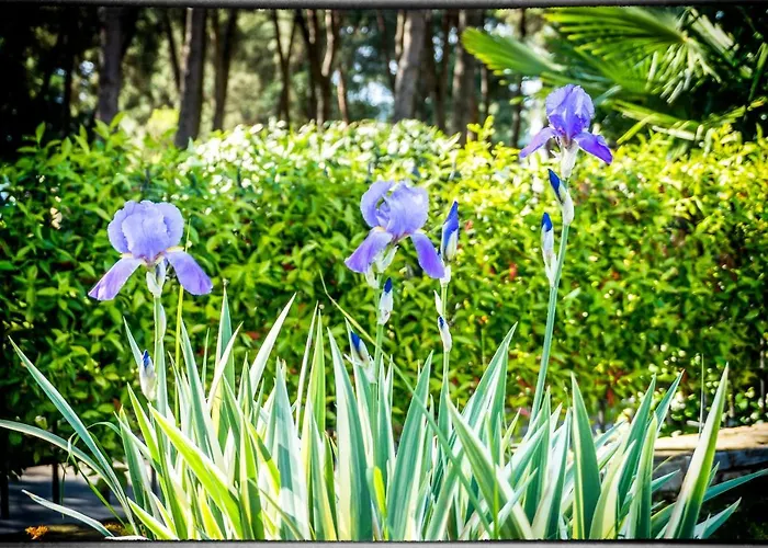 Parenzo 150mt Dal Mare 8min Piedi Dal Centro Villa Poreč